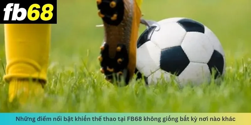 Những điểm nổi bật