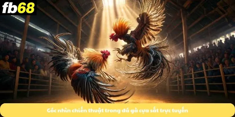 Góc nhìn chiến thuật trong đá gà cựa sắt trực tuyến