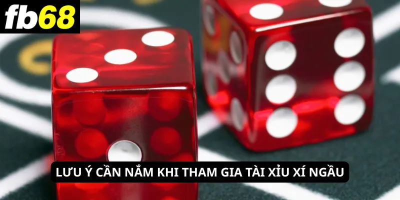 Lưu ý cần nắm khi tham gia tài xỉu xí ngầu